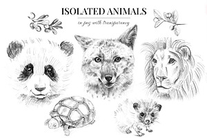 Wild Animals. Sketch Edition. 22 PNG