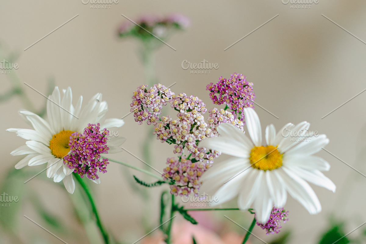 Garden Magic Tarot Photo Stock, a Nature Photo by House of Divine Style (Photo 20 of 21)