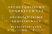 Rokate - Classy Vintage Serif Font, a Serif Font by Brand Earth (Thumbnail 2 of 8)
