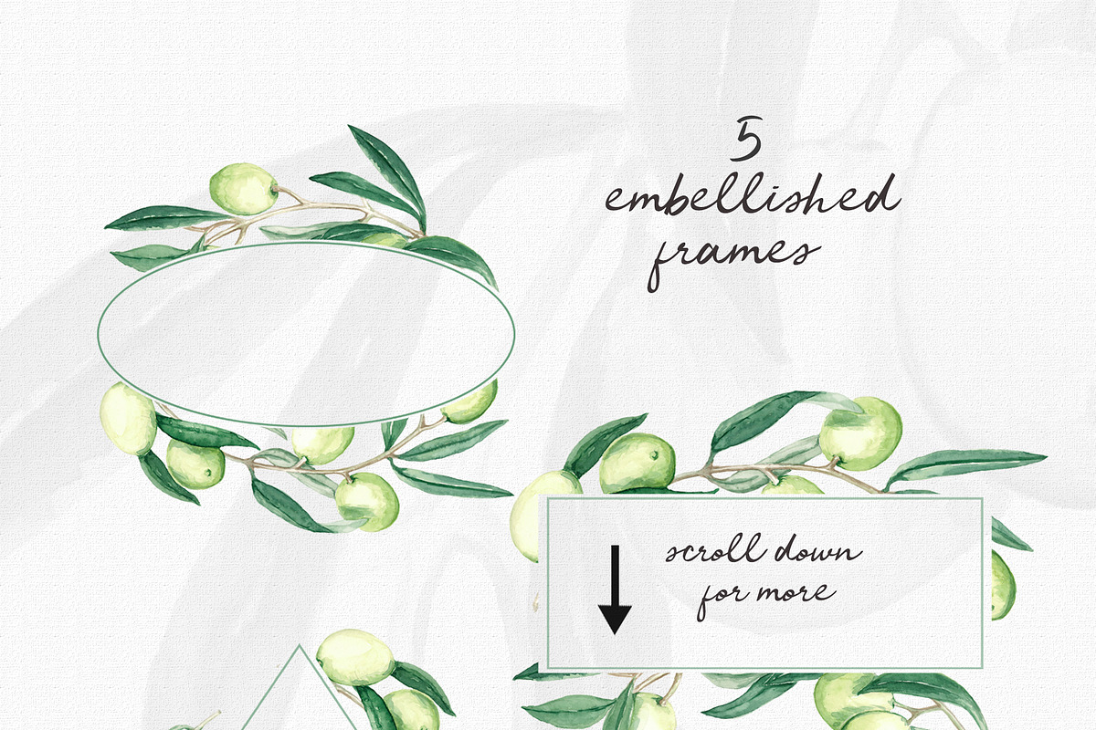 Watercolor Olive Branch Graphic Set, a Food Illustration by In the clouds (Photo 2 of 7)