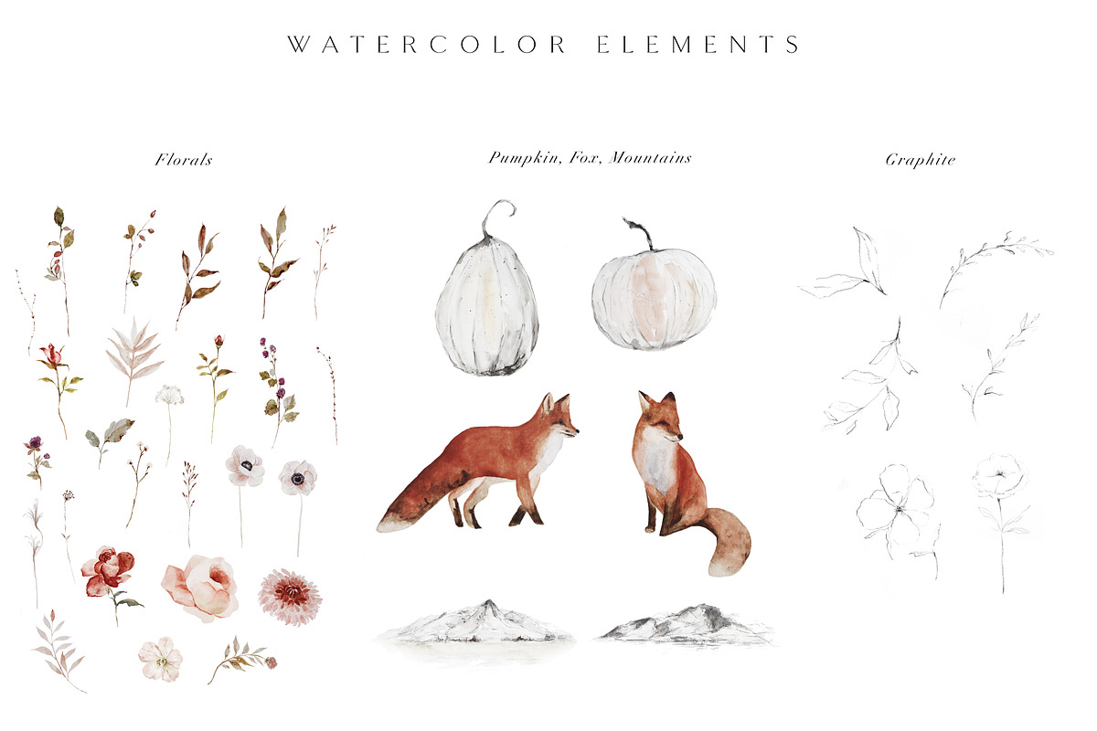 Autumnal - Graphic Collection, an Animal Illustration by Isabelle Salem (Photo 3 of 11)