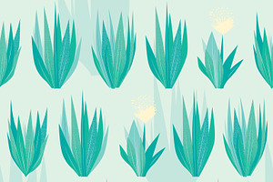 Green Aloe
