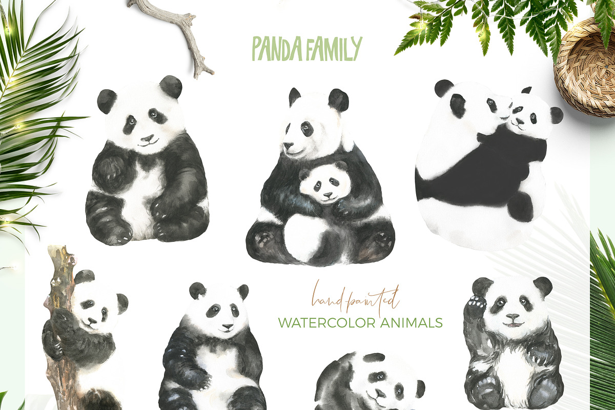 Watercolor Panda Family, an Animal Illustration by Catherine Wheel (Photo 16 of 17)