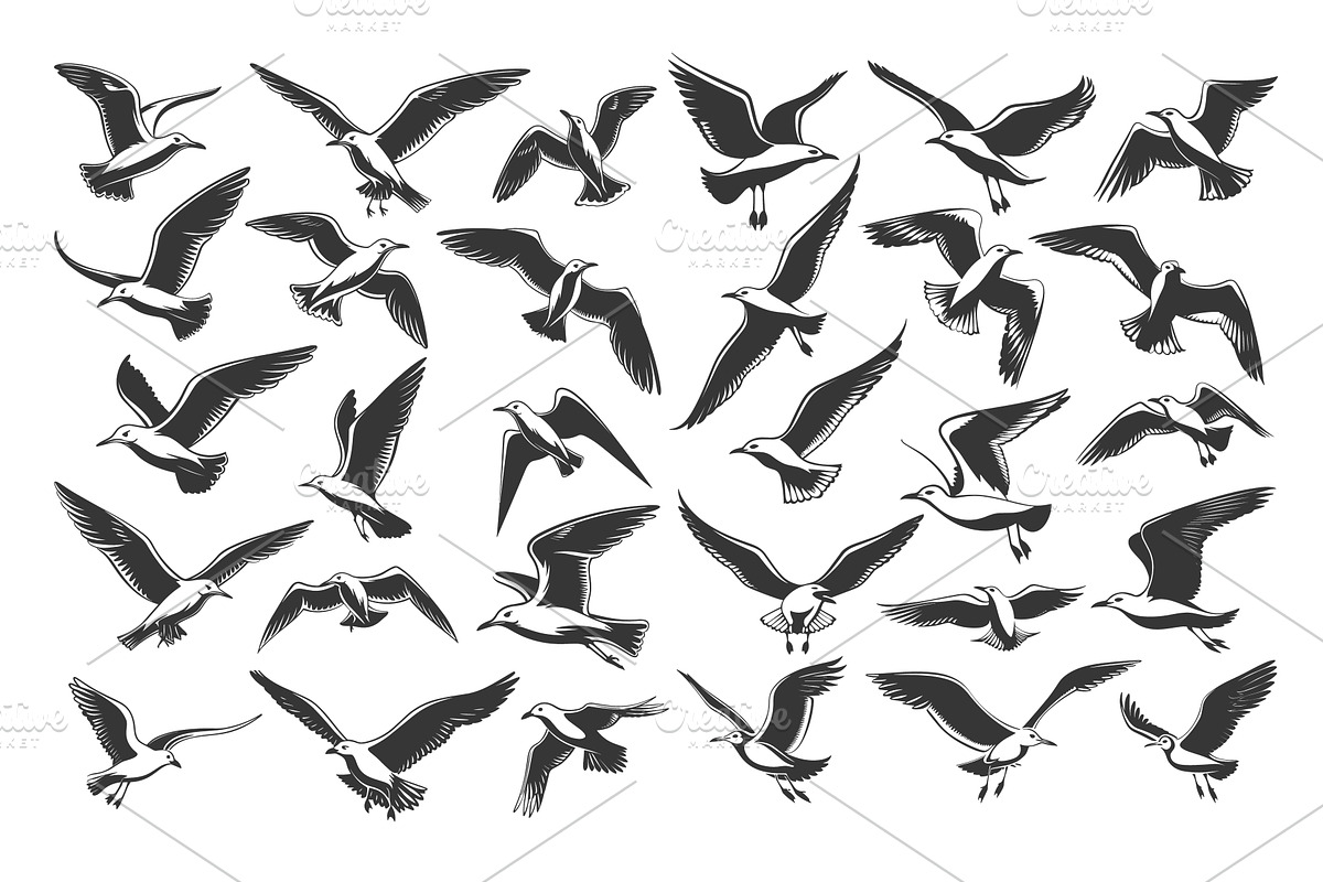 Doodle Style Sea Gulls Icons Set, an Animal Illustration by LadadikArt