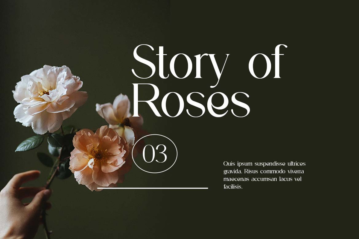 Biconvex Elegant Serif Font, a Serif Font by UICreative (Photo 11 of 13)