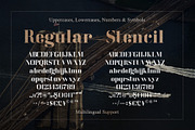 America Serif Font Family, a Serif Font by Anna Zakharchenko (Thumbnail 7 of 13)
