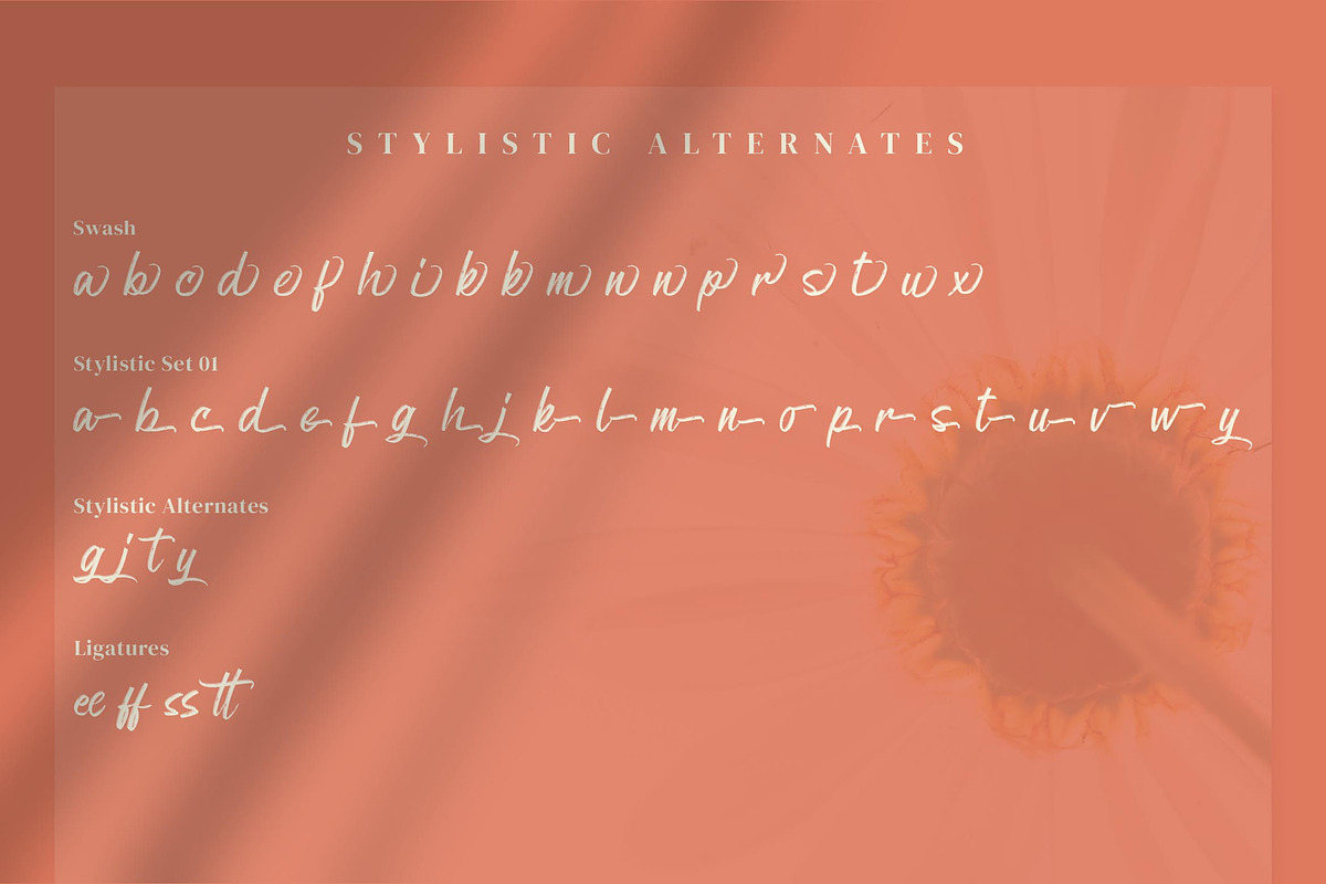 Butteries - Handwritten Brush Font, a Script Font by Krakenbox Studio (Photo 13 of 13)