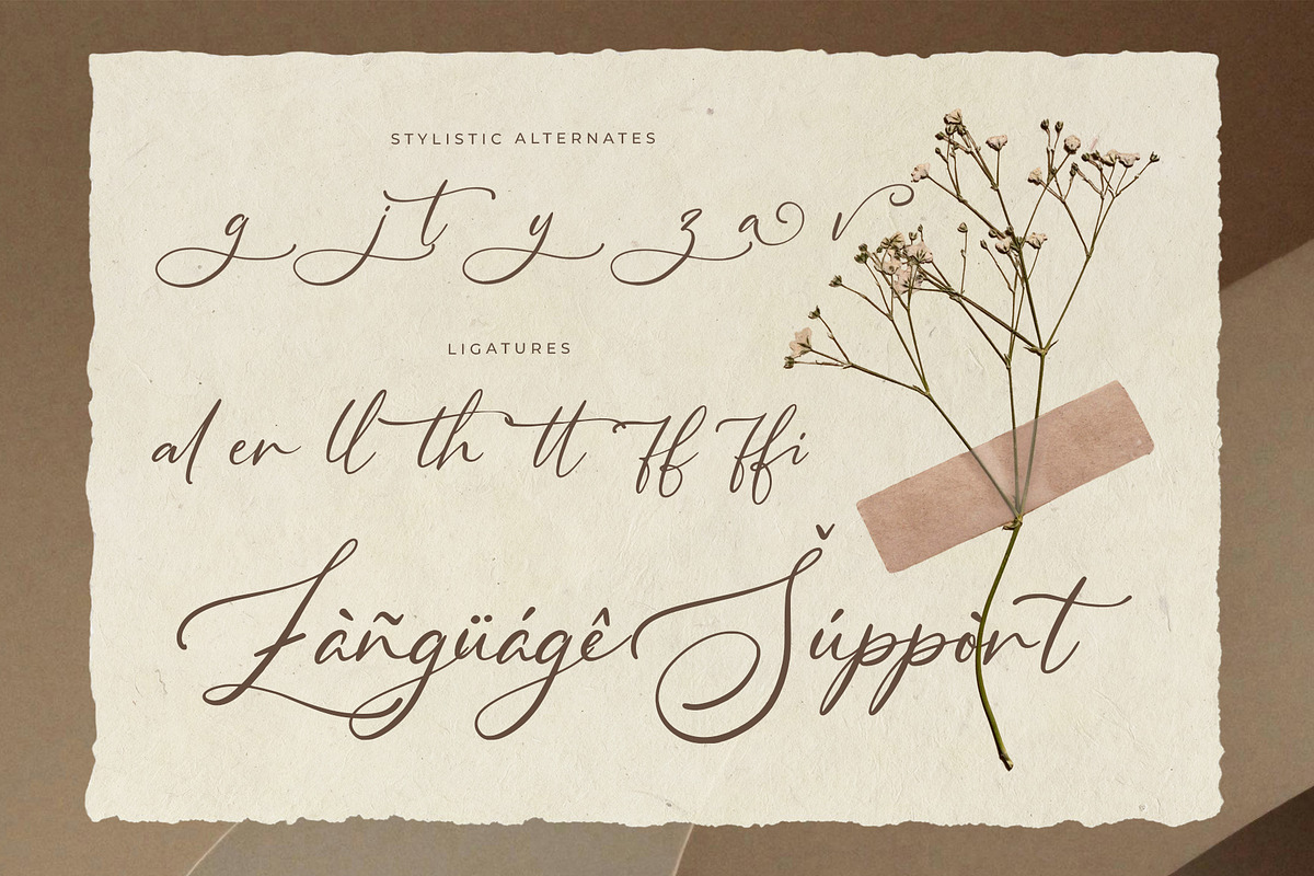 Calyvera – Quiet Signature Script, a Script Font by Inviline.co (Photo 10 of 10)