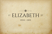 Retro Logos / Badges, a Branding & Logo Template by N A N D U Z D E S I G N (Thumbnail 8 of 14)
