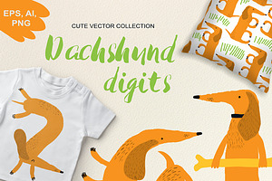 Cute Dachshund Digits
