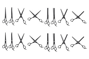 Professional Barber Scissors