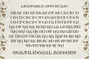 Bherios Grape Typeface, a Serif Font by alit design (Thumbnail 17 of 18)