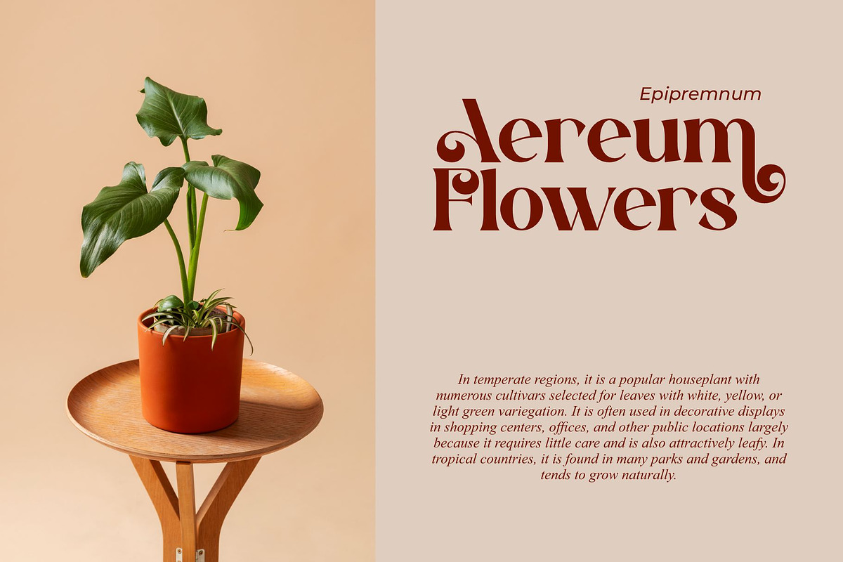 Vanniel || Modern Serif Font, a Serif Font by Ermedia Studio (Photo 3 of 10)
