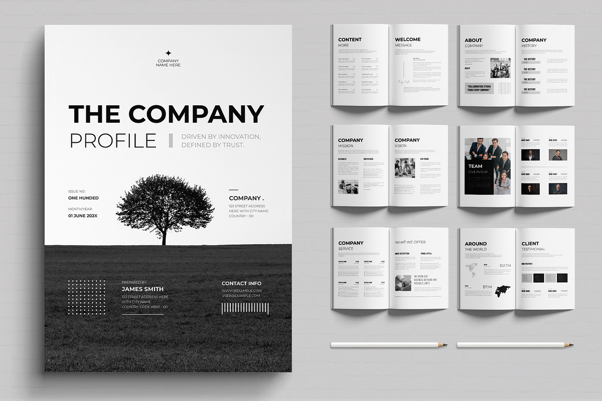 Company Profile Brochure Template, a Brochure Template by MightyDesign (Photo 1 of 6)