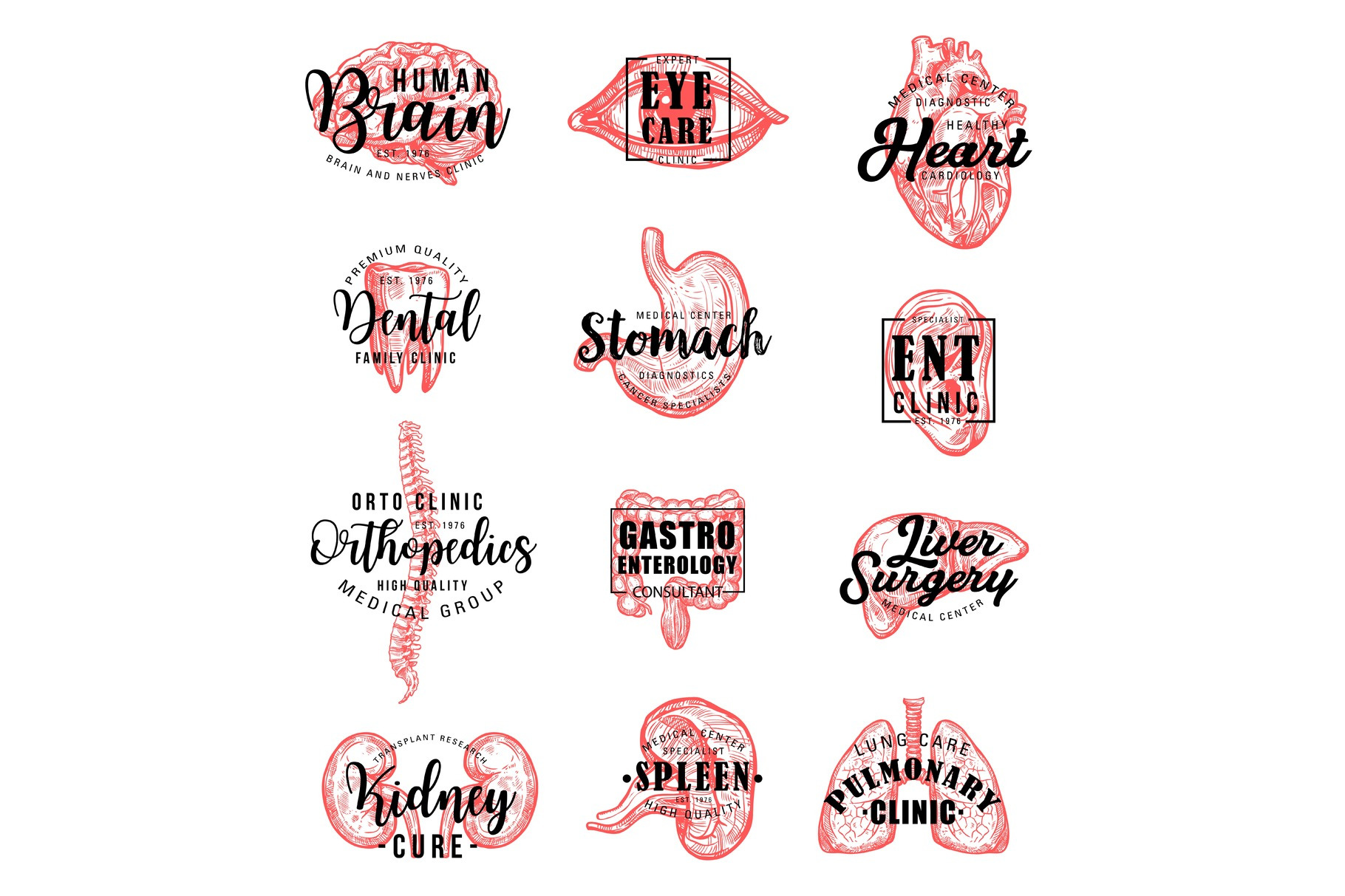 Human organs and bones lettering, a Healthcare Illustration by Vector ...