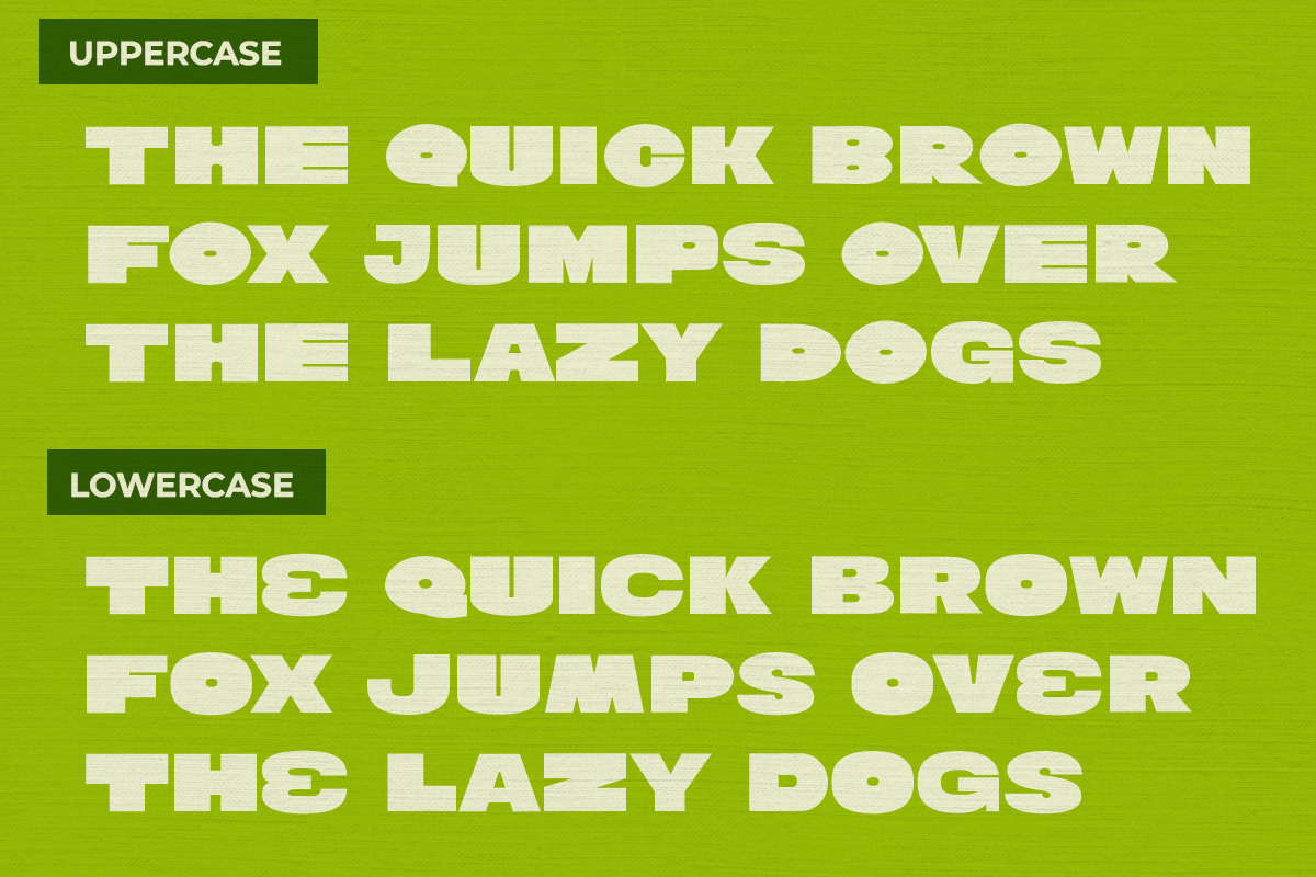 The Bold Taffi - Big Sans Serif, a Sans Serif Font by Scratch Design (Photo 2 of 15)