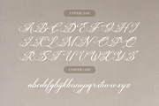 Bittenong Cenduin Modern Calligraphy, a Script Font by Denustudios (Thumbnail 10 of 13)