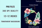 Coquette Summer Frame Clipart Bundle, an Illustration by SinaCreation (Thumbnail 4 of 5)