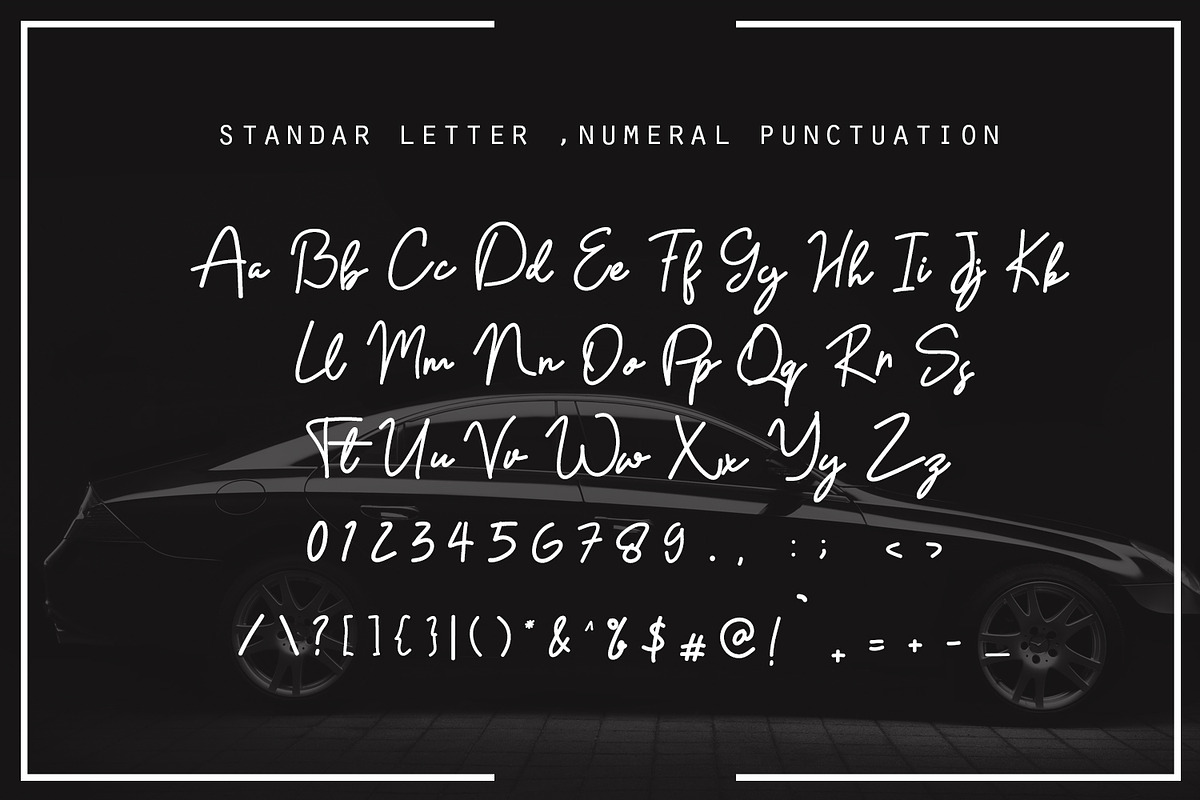 Danilla Modern Signature Font preview 7