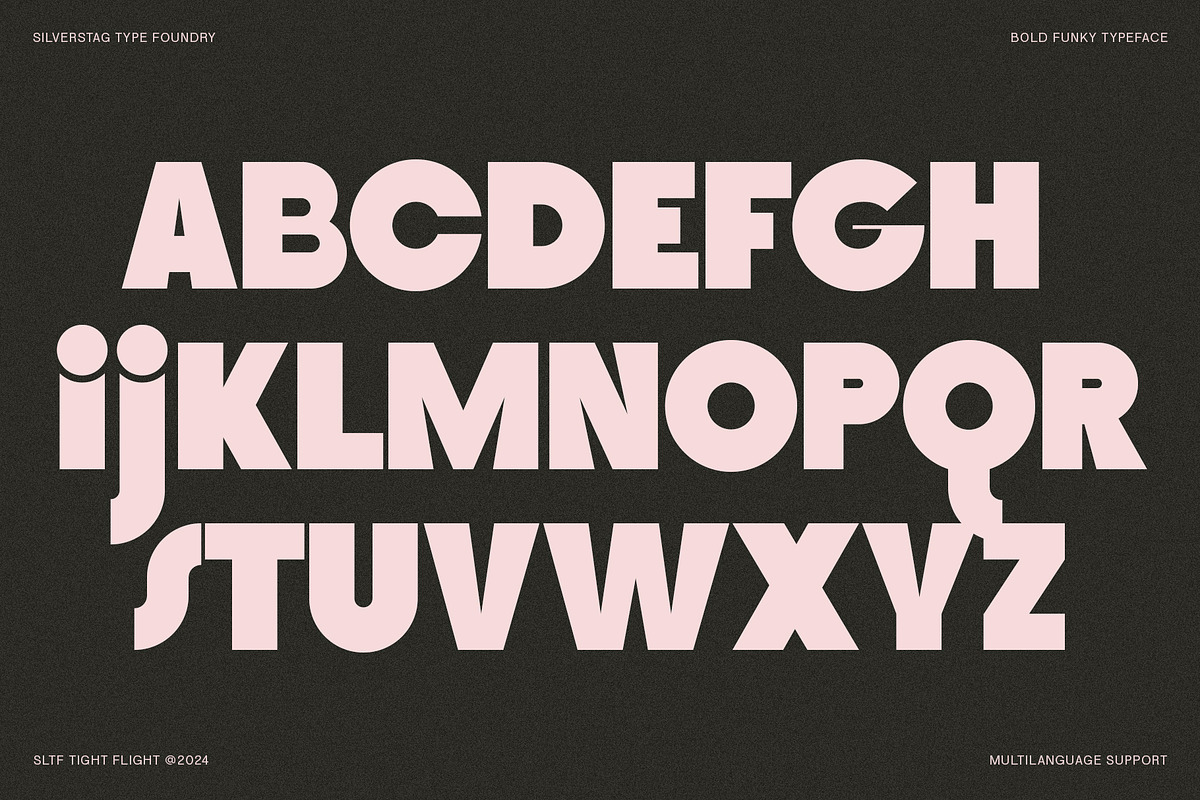 SLTF Tight Flight - Bold Funky Font, a Sans Serif Font by SilverStag Type Foundry (Photo 18 of 19)
