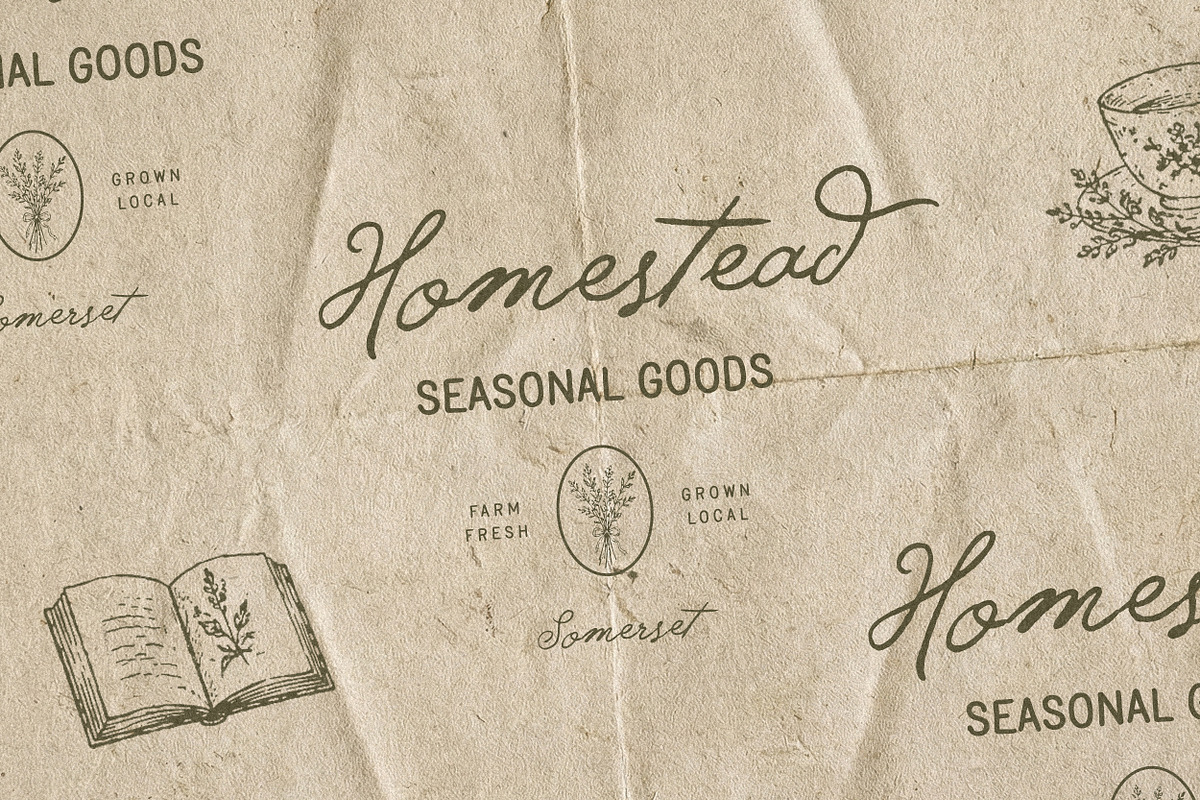 Feather Trace - Organic Font Duo, a Handwritten Font by Davide Bassu (Photo 5 of 11)
