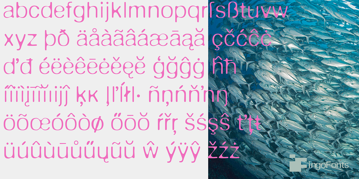 DeFonte Plus, a Sans Serif Font by ingoFonts (Photo 7 of 10)