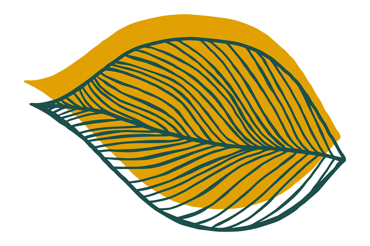 Vector Plant & Leaf Graphics, a Background Graphic by Dorey Kronick Art&Design (Photo 8 of 19)