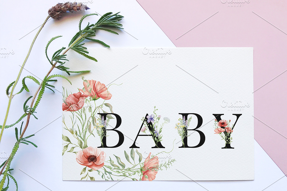 Watercolor Wildflowers Botanical Set, a Decorative Illustration by BarvArt (Photo 13 of 22)