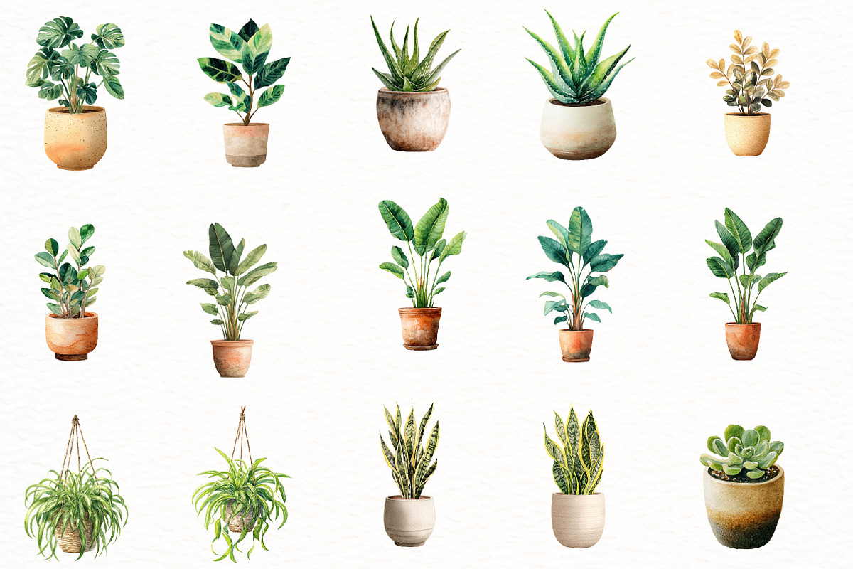 House Plant Plant Lovers clipart, an Illustration by Designworld (Photo 7 of 8)