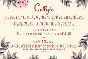 Collyte Handlettering Business Font, a Script Font by MikroType Std (Thumbnail 7 of 8)