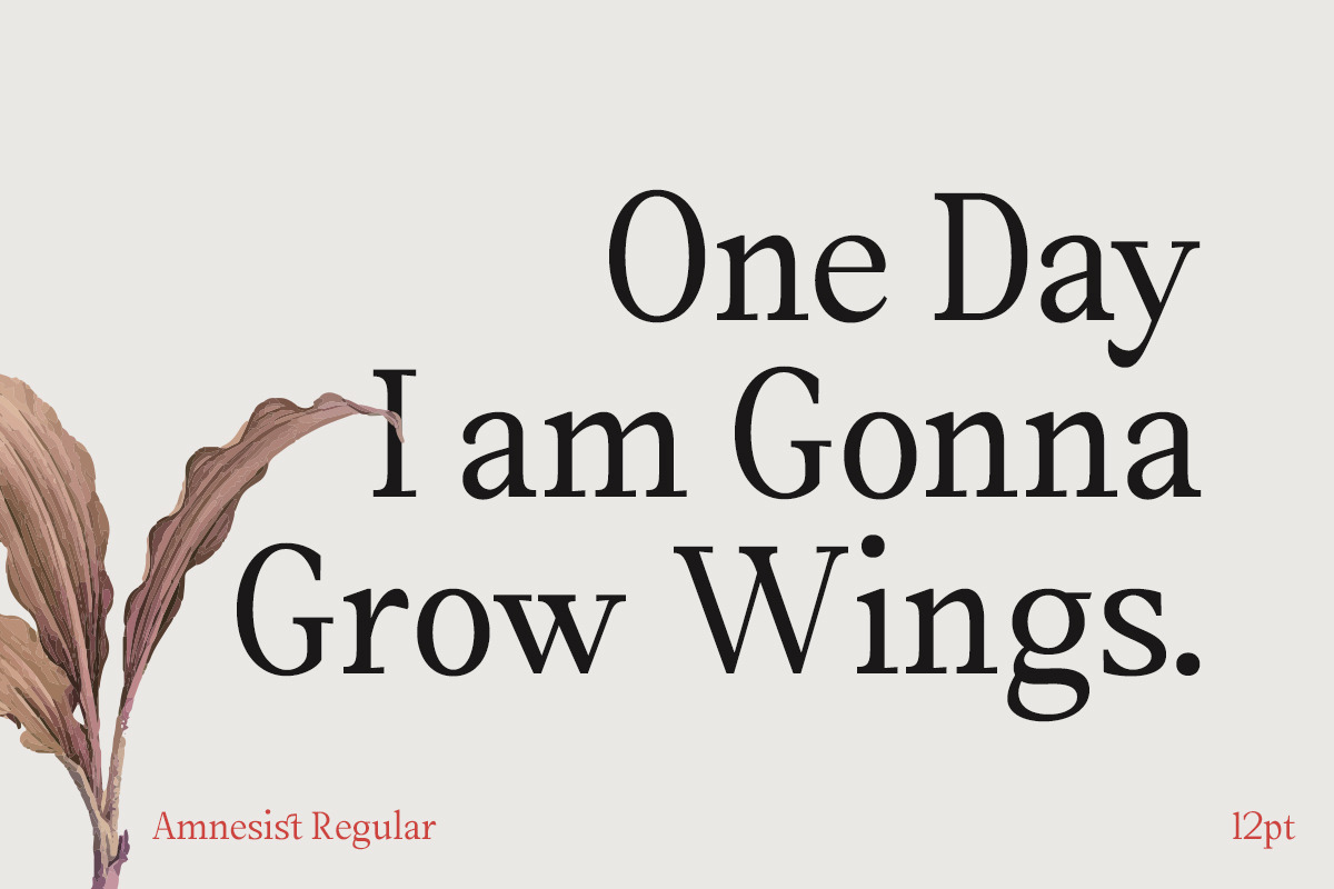 Amnesist | 12 Fonts, a Serif Font by Skinny Type (Photo 8 of 12)