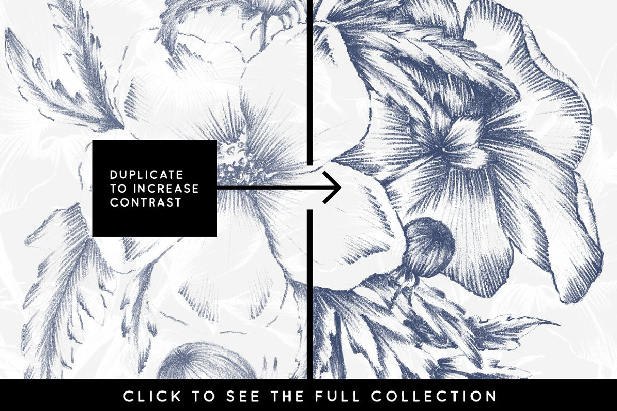 20 Floral Illustrations & More, a Decorative Illustration by AW Studios (Photo 2 of 6)