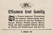 Blumen blackletter font family, a Blackletter Font by kaer_shop (Thumbnail 1 of 8)