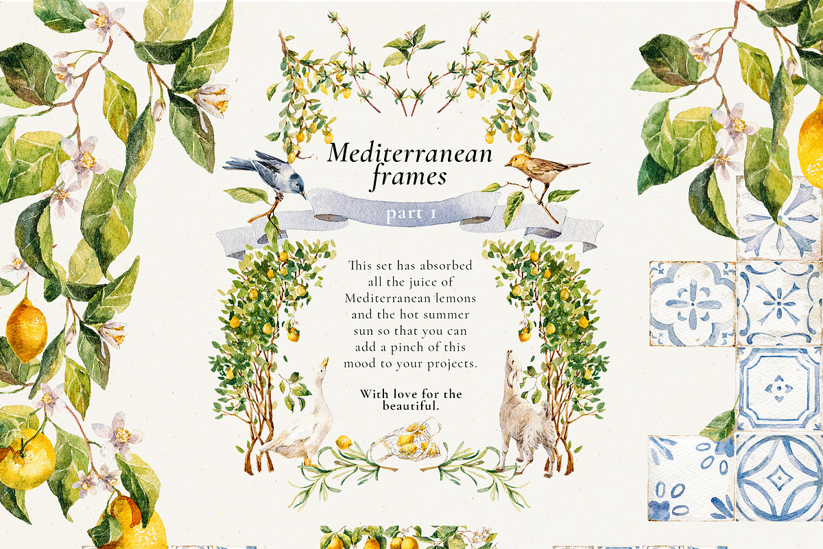 Mediterranean Citrus Garden clipart, a Decorative Illustration by Pamyatka Shop (Photo 3 of 14)