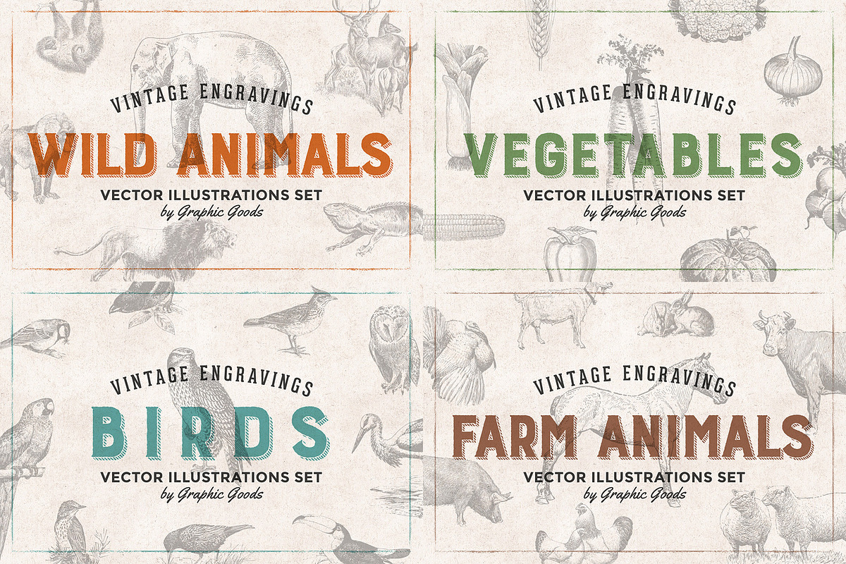 Vintage Illustration Bundle 80% OFF, an Object Graphic by Graphic Goods (Photo 10 of 10)
