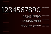 Chucara next, a Serif Font by Letritas (Thumbnail 11 of 14)