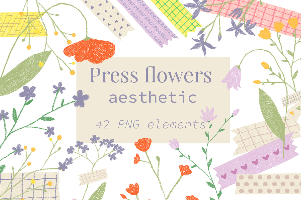 Press flowers aesthetic, a Decorative Illustration by Ksusha shop (Photo 1 of 5)