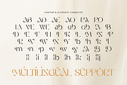 Baby - Luxury Premium Font, a Serif Font by Sensatype (Thumbnail 12 of 12)
