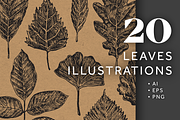 20 Leaves Illustrations, an Illustration by Dopestype (Thumbnail 1 of 5)