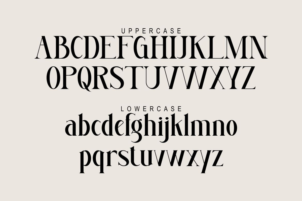 Megumi, a Serif Font by Kenrichi (Photo 3 of 10)