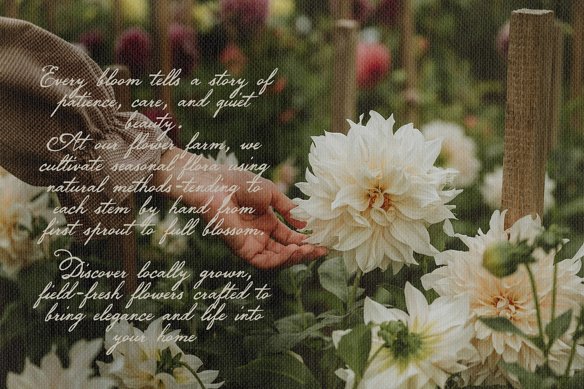 Darling Moment vintage script font, a Script Font by TD fonts (Photo 3 of 10)