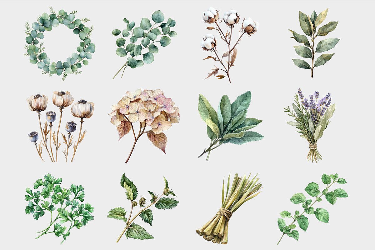 Watercolor Dry Herbs Clipart, a Seasonal Illustration by Design Market (Photo 4 of 4)