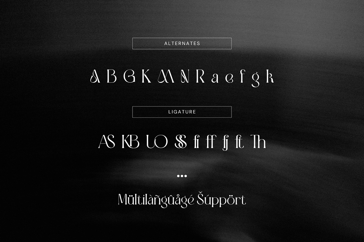 Genekist - Serif Font, a Font by Sronstudio (Photo 12 of 13)