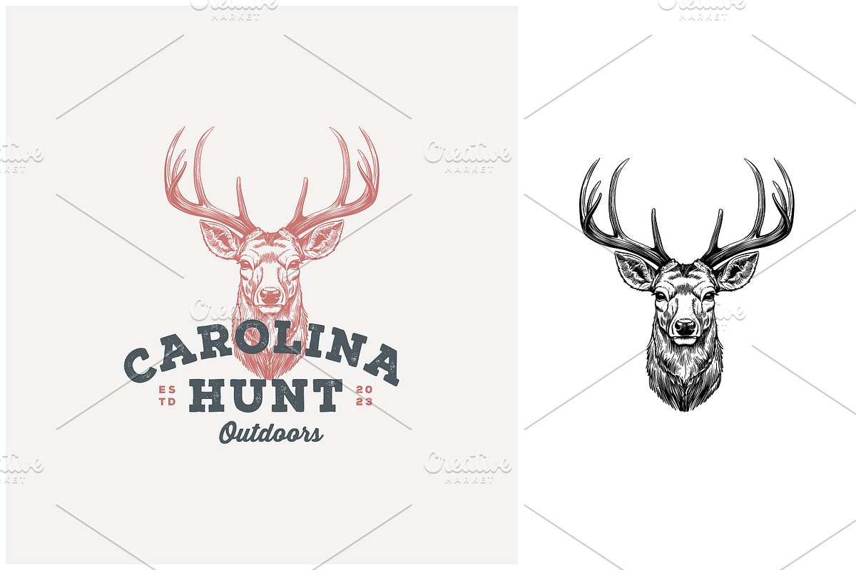 Hand Drawn Deer Stag Buck Hunt Logo, a Branding & Logo Template by Enola99d (Photo 2 of 2)
