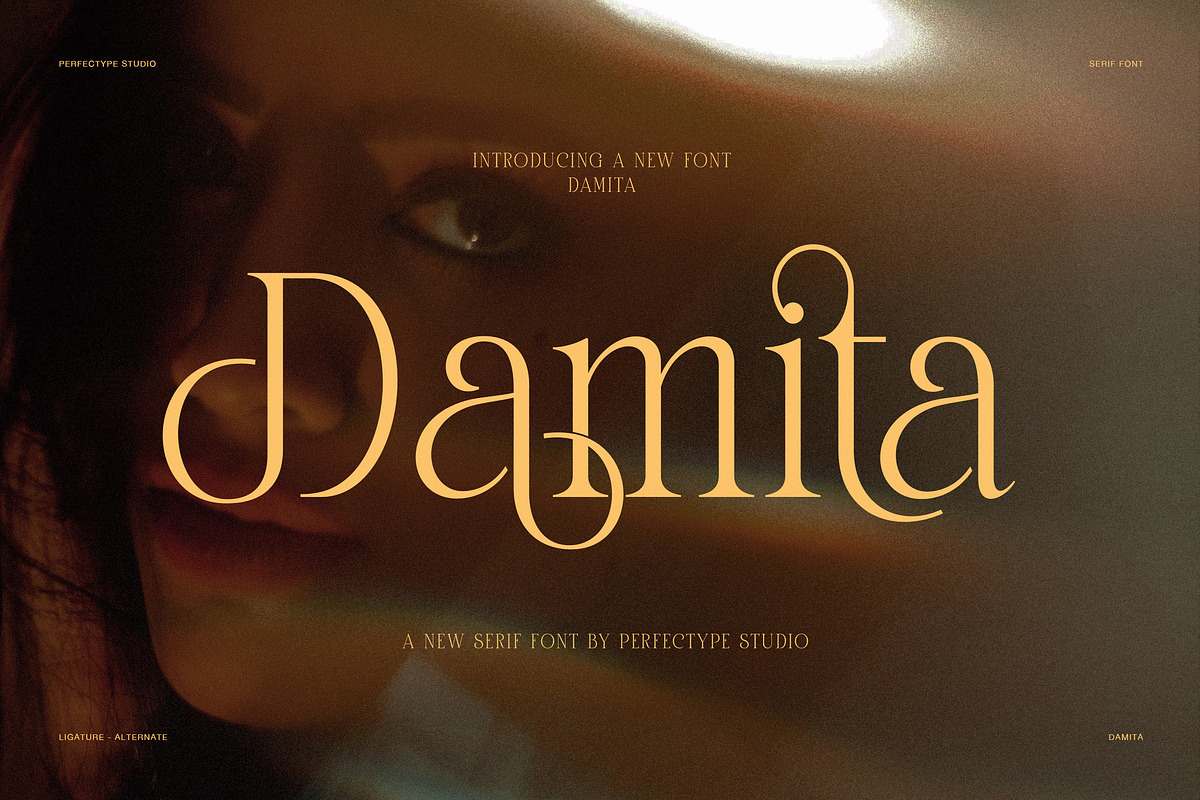 Damita Elegant Serif Display Font, a Serif Font by Perfectype (Photo 1 of 8)