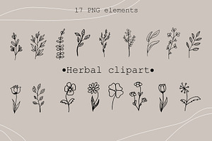 Modern herbal clipart