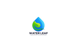 Green Leaf With Water Drop Vector