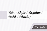 Felis Script, a Script Font by Typomancer (Thumbnail 3 of 5)