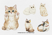 15 Bundle Watercolor Lazy Cats Kiten, an Animal Illustration by Morspective (Thumbnail 6 of 8)