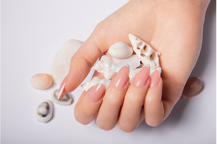 Hands with long nails with french, a Beauty & Fashion Photo by korabkova